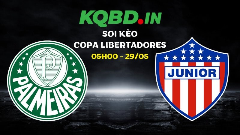 Nhận định Palmeiras vs Junior FC ngày 29/05/2026 | Copa Libertadores