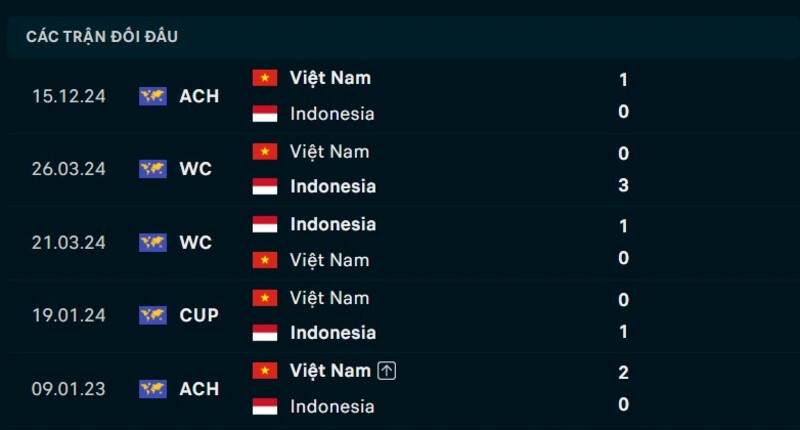 Kết quả đối đầu Indonesia vs Việt Nam